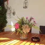 Naturlaub In Den Fewos Der Dreiherrenmuehle An Der Mosel