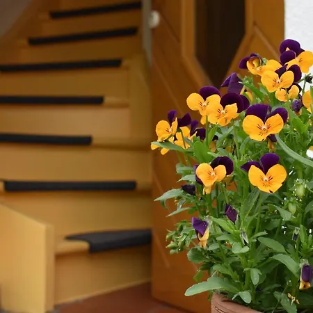 Zwei In Der Dreiherrenmuehle Апартаменты Целль-ан-дер-Мозель