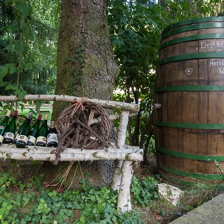 Natur-urlaub In Den Fewos Der Dreiherrenmuehle An Der Mosel