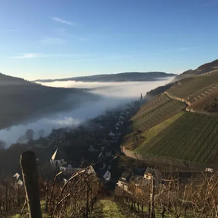 Natur-urlaub In Den Fewos Der Dreiherrenmuehle An Der Mosel * Zell an der Mosel