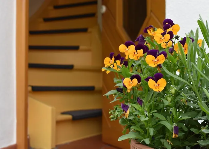 Naturlaub In Den Fewos Der Dreiherrenmuehle An Der Mosel Daire Zell an der Mosel