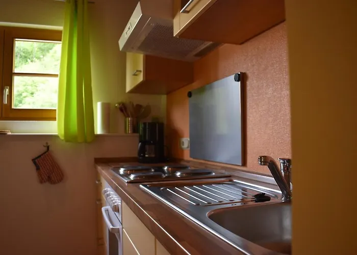 Ferienhaus Mit Zwei Wohnungen Fuer 2-6 Personen In Der Dreiherrenmuehle An Der Mosel Appartement Zell