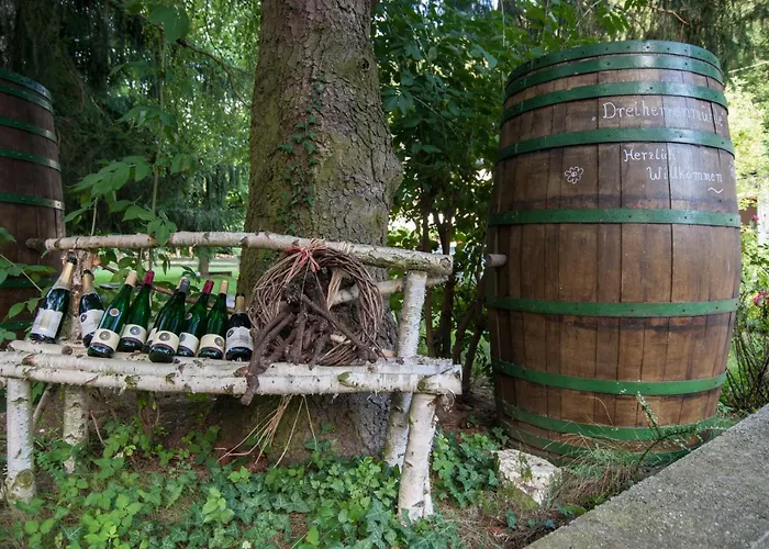 Naturlaub In Den Fewos Der Dreiherrenmuehle An Der Mosel