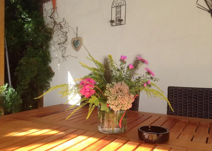 Ferienhaus Mit Zwei Wohnungen Fuer 2-6 Personen In Der Dreiherrenmuehle An Der Mosel