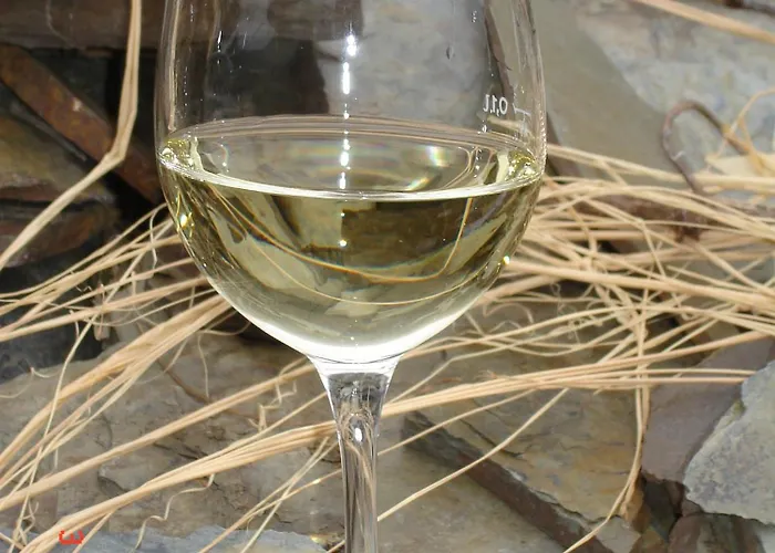 Daire Naturlaub In Den Fewos Der Dreiherrenmuehle An Der Mosel Zell an der Mosel