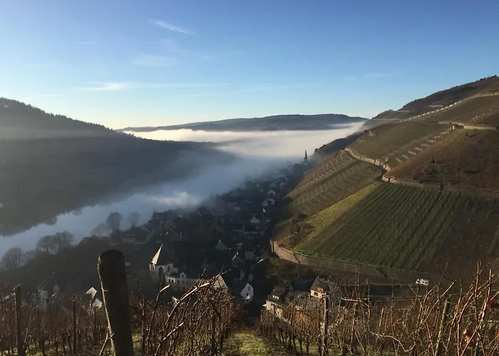 Naturlaub In Den Fewos Der Dreiherrenmuehle An Der Mosel * Zell an der Mosel